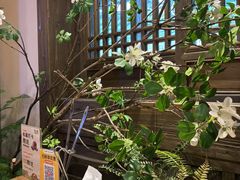 -老凯俚酸汤鱼(东山店)