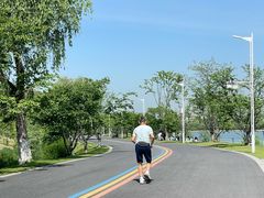 -羊山湖公园