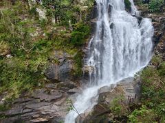-海南热带雨林国家公园吊罗山景区