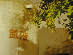 -复旦大学光华楼