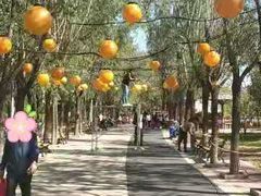 -杨柳青庄园