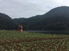 -广州市石门国家森林公园