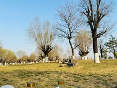 -汉长安城未央宫国家考古遗址公园