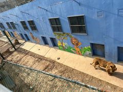 -青藏高原野生动物园