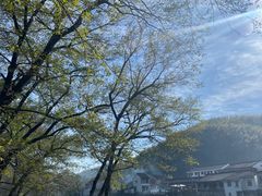 -鹿亭中村