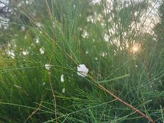 -六鳌翡翠湾滨海度假景区