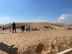 -银肯塔拉沙漠生态旅游景区