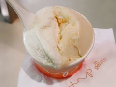 芭乐凤梨薄荷-Dip in Gelato(富民路店)