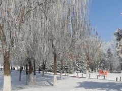 -莫子山公园