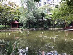 -世纪同乐绿地世纪城二期
