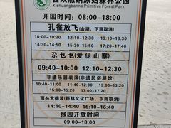 -西双版纳原始森林公园