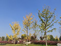 -汉长安城未央宫国家考古遗址公园