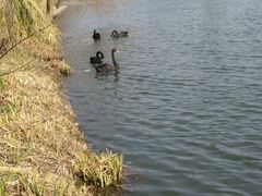 -南通濠河风景名胜区