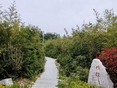 -莱西月湖公园