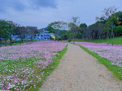 -仙海旅游度假区