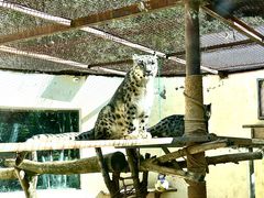 -青藏高原野生动物园