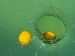 -CGWANG王氏教育(上海校区)