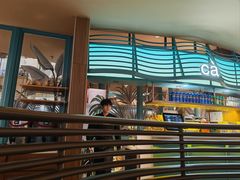 -美奈小馆·东南亚菜(福田星河COCO Park店)