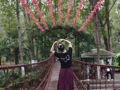 -合肥滨湖国家森林公园