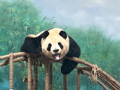 -杭州动物园