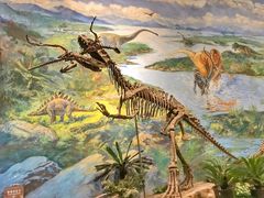 -自贡恐龙博物馆