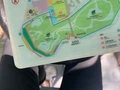 -北京麋鹿生态实验中心