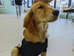 -怪兽屋·羊驼·猫咖·狗咖(俊华广场店)