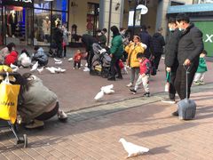 -王府井奥莱临潼小镇(临潼店)