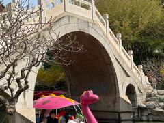 -团结湖公园
