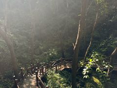 -大岭沟猕猴桃谷风景区