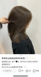 -GT潮朴美业