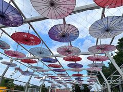 -长洲岛都市农业公园
