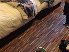 -上海龙之梦万丽酒店