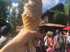 -奥兰多迪士尼动物王国乐园