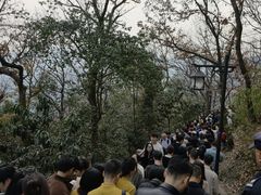 -灵顺寺