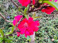 -南京市江宁方山