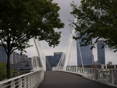-映月湖中央公园