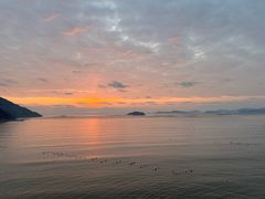 -北岐滩涂