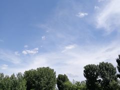 -北京东方普罗旺斯薰衣草庄园