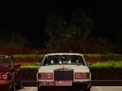 -河源万绿湖美思威尔顿酒店