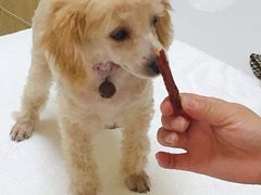 -惠康宠物医院(华能路店)