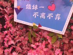 -泰安方特欢乐世界