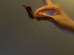 -上海老天禄