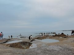 -日照灯塔风景区