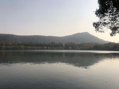 -西湖外事游船(花港观鱼码头)