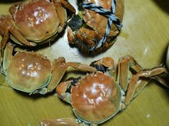 -喜洋洋蟹庄(阳澄湖店)