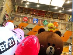-line friends(明洞旗舰店)