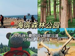 -日照灯塔风景区