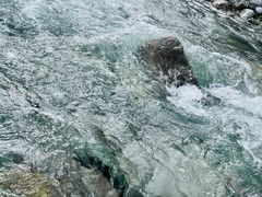 -虹口漂流