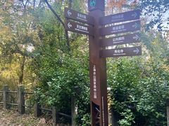 -上海佘山国家森林公园西佘山园